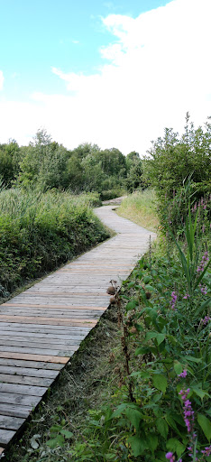 Photo of Laurier Woods Conservation Area - Brule St, North Bay, ON P1A 3Z5